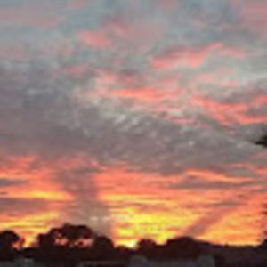 Meet your Posher, Margarita